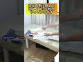 【意外と知らない】たった1分で足首を柔らかくするストレッチ3選 #Shorts