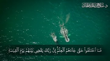 سورة يونس الآية  93 97 القرآن الكريم - د صلاح باعثمان