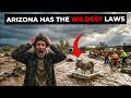 Every INSANE Arizona Law Still on the Books Explained (A Donkey in a Bathtub Started It All)