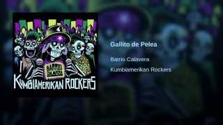 Gallito de Pelea - Barrio Calavera chords