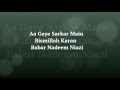 Aa Gaye Sarkar Main Bismillah Karan - Babar Nadeem NIazi (Lyric Video)