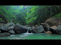 Relax Deeply Tonight with Smooth River Sounds for Sleep and Stress Relief