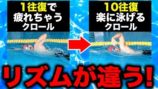 クロール1往復でも疲れるあなたへ！楽に長く泳ぐコツを習得して