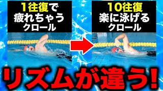 クロール往復でも疲れるあなたへ楽に長く泳ぐコツを習得して10往復を楽々泳ごう