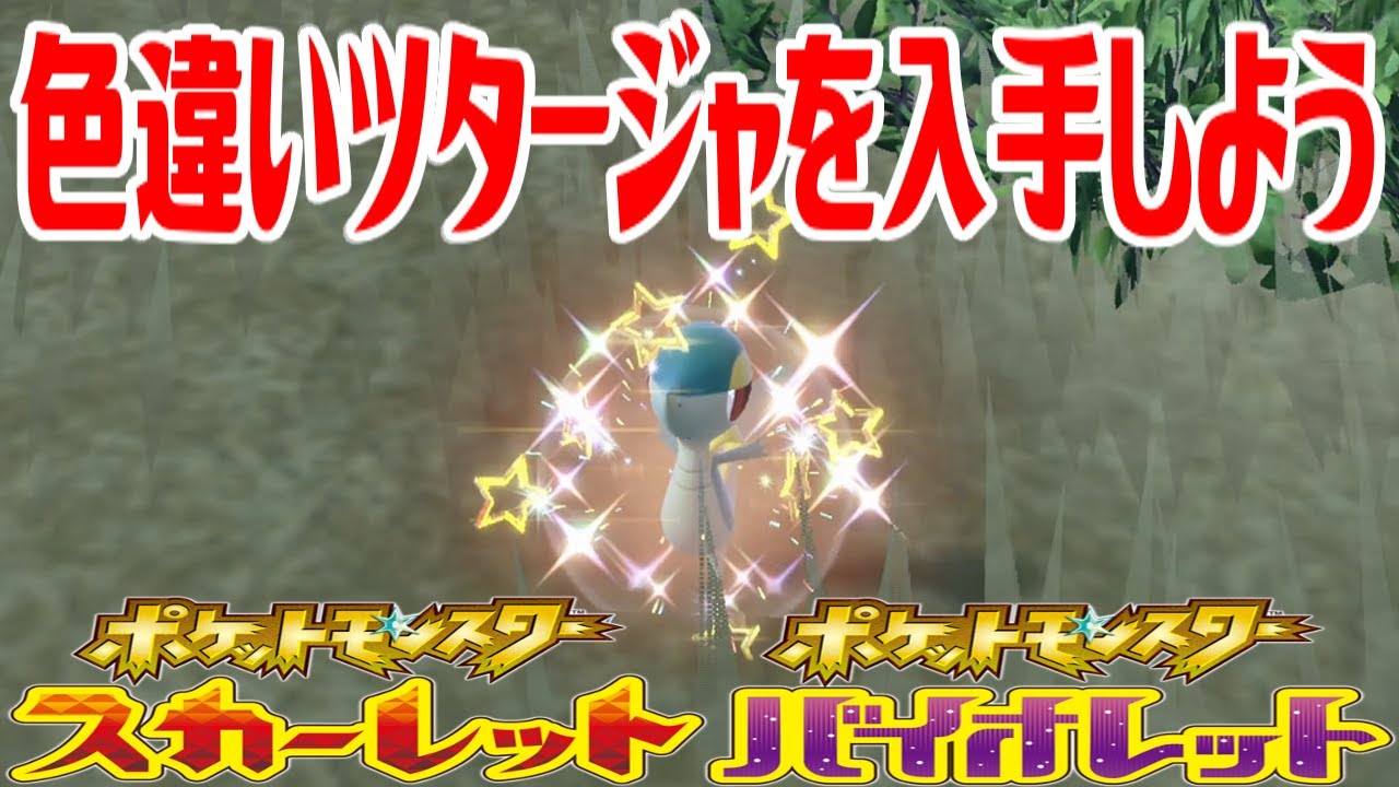 ポケモンSV】色違いツタージャを入手しよう【ポケットモンスター