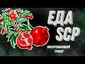 Еда SCP 3 [ Воскрешающий гранат, Недешёвый сыр,Пироги пекутся сами ]