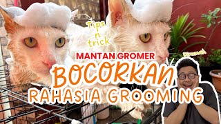 MANTAN GROOMER INI BOCORKAN RAHASIA GROOMING ‼️‼️ |Tips & Trik mandiin kucing