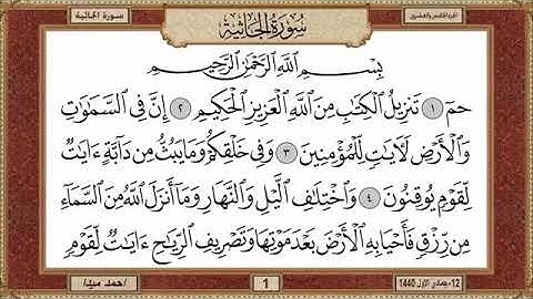 سورة الجاثية، مكتوبة، حسن صالح، بدون اعلانات.