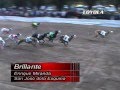 Brillante (Santos Vega-sorpresa) Final Vedia