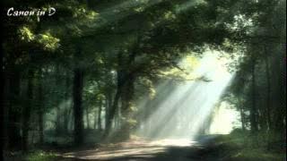 Canon in D [Pan Flute]