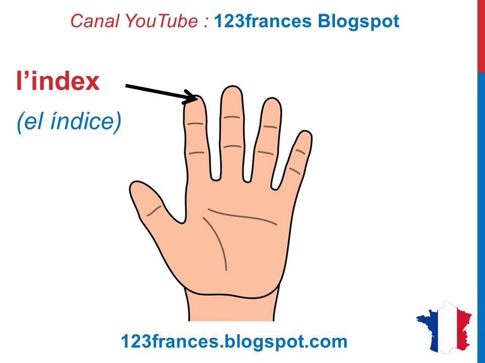 Curso de francés 23 - LOS DEDOS DE LA MANO en francés Vocabulario Les