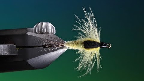Fly Tying a Petitjean MP 33 Mayfly nymph