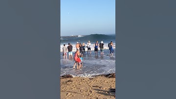 GIANT WAVES #beach #waves #shortschallenge