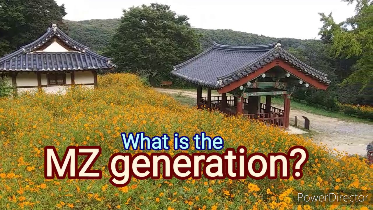 What is the MZ generation? YouTube