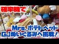 【トリプル】「Mrs.ポテトヘッド ギガジャンボぬいぐるみ」へ挑戦！