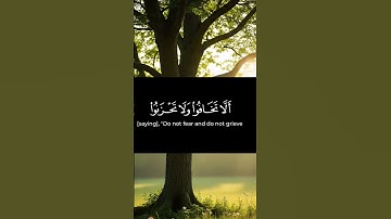 القران الكريم ياسر الدوسري صوت عذب #القرآن #اكسبلور #المصحف #القرآن_الكريم #yasseraldossary