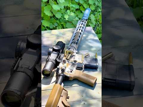 Alpha Machine AR with Monstrum LPVO