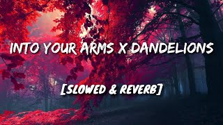 Into Your Arms X Dandelions [Slowed   Reverb]