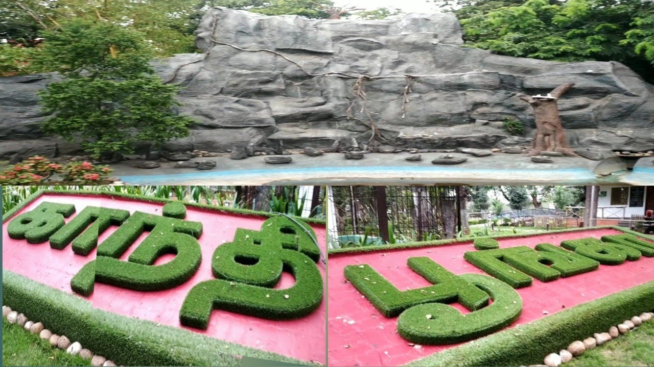 Coimbatore Gandhi Park Vlog ️ Gandhi Park in Coimbatore 🐅🦁🐺 YouTube