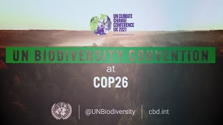 Details UN Biodiversity Convention at #COP26: Key Takeaways from 2 November Update
