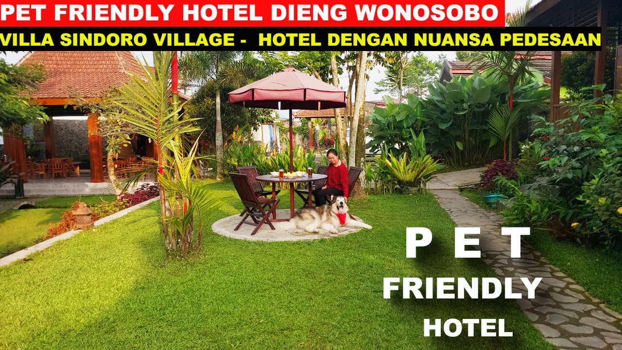 Villa Sindoro Village Dieng Wonosobo - Pet Friendly Hotel Dieng Dengan Nuansa Pedesaan