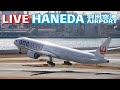 🔶[LIVE] '25/2/5 羽田空港 T1 HANEDA INTERNATIONAL AIRPORT plane spotting
