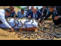 Во время похорон из могилы выползли змеи и скорпионы! Причина заставила всех замереть!