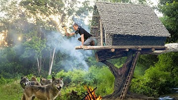 Building a Tree House from Jungle Vines | Rainforest Survival Challenge