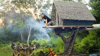 : Building a Tree House from Jungle Vines | Rainforest Survival Challenge