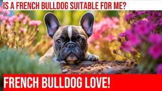 Are French Bulldogs Good for FirstTime Dog Owners?