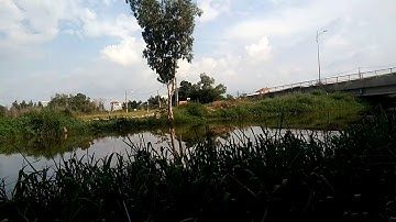 Đam mê câu cá, điểm câu long an/ cầu nhỏ đức hoà