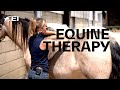 How horses benefit from Equine therapists w/ Nika Vorster | Equestrian World