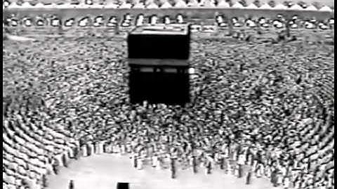 الشيخ علي الحذيفي - سورة الحاقة  تراويح  28  رمضان  1409 هـ