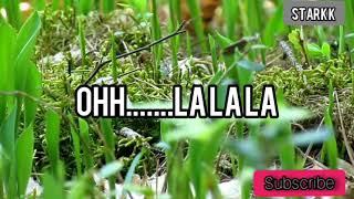 New khasi love song ha pdeng duriaw