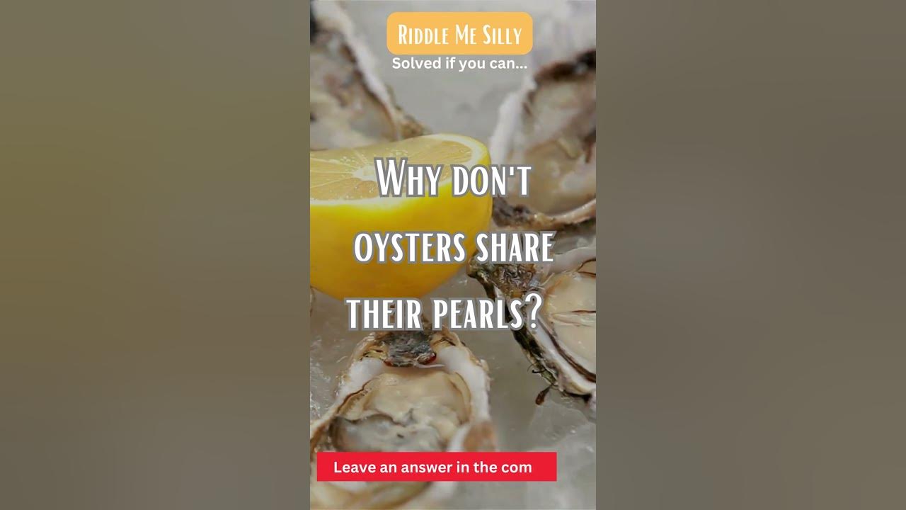 Why don't oysters share their pearls? shorts humor jokes funny 