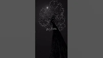 لكن لنا فيه ظن لا يخيبنا 