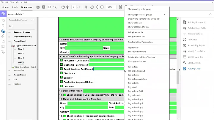 How to correct Tagged Form Fields  - Failed during an accessibility check