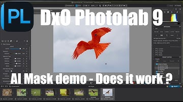 DxO Photolab 9 - AI masking demo and does it work?