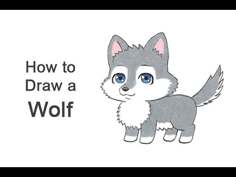 How to draw a Wolf (Cartoon) - YouTube