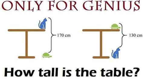 How tall is the table | Puzzle Answer