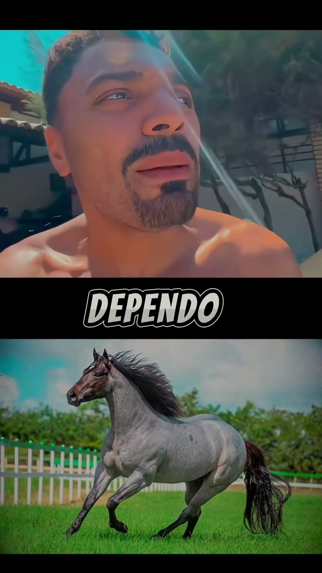 Me botou no ramo do cavalo #wesleysafadão #humor #memes