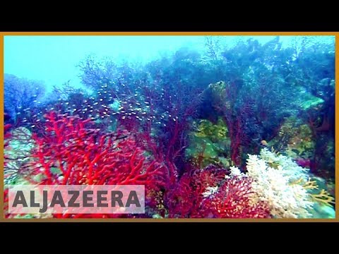 ?? Australia pledges $400m to save Great Barrier Reef | Al Jazeera English