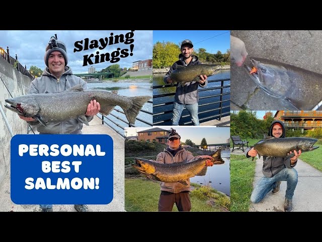 OFF THE WALL Salmon Fishing! Oswego River 2022 