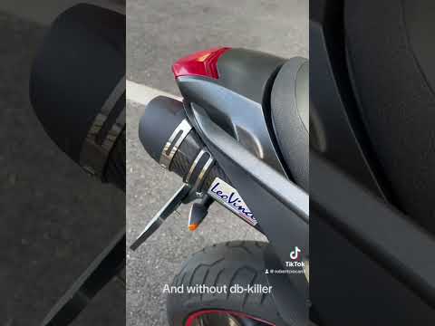 Exhaust leo vince