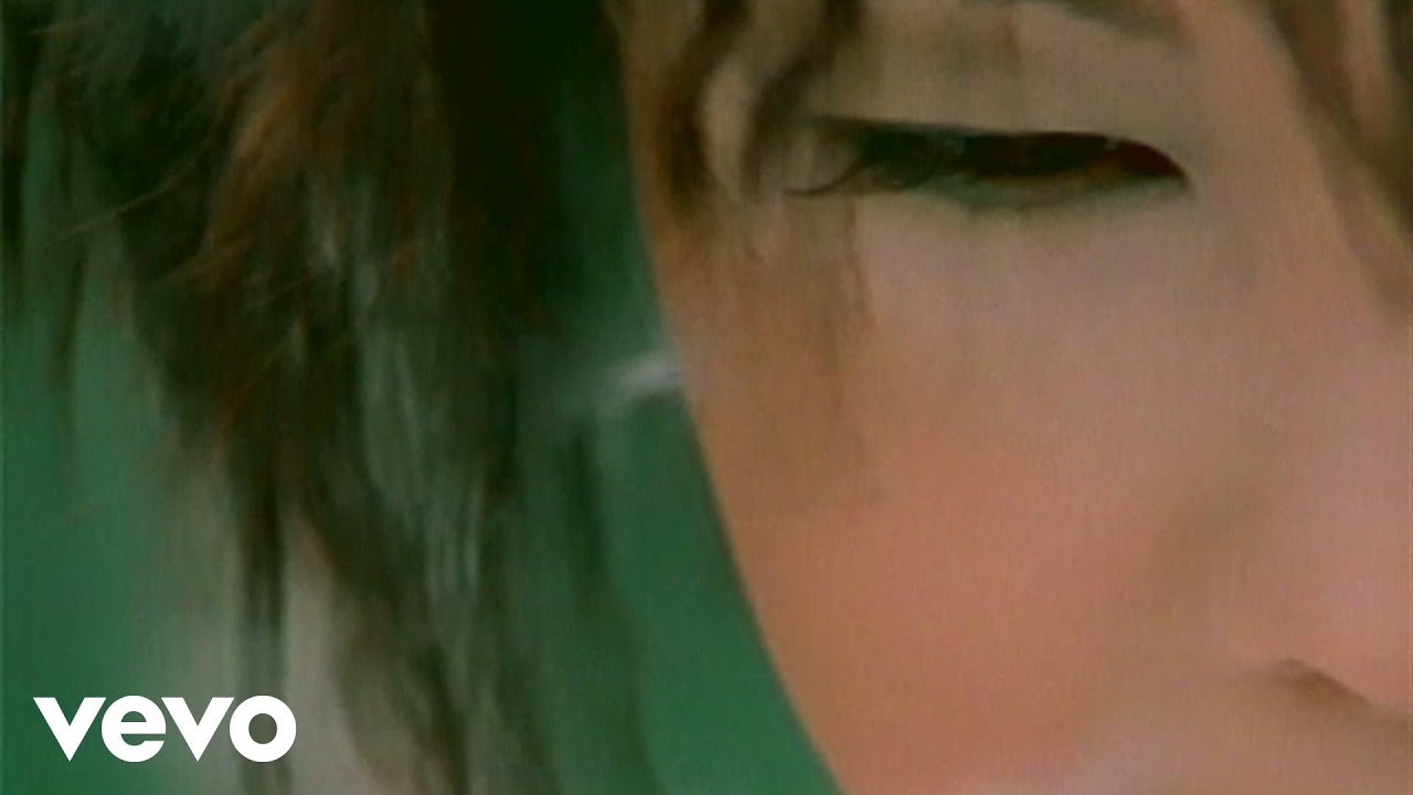 為了你 - Wei Le Ni