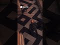 Agent 47  Stealth Takedown &amp; Body Disposal Secrets Revealed!