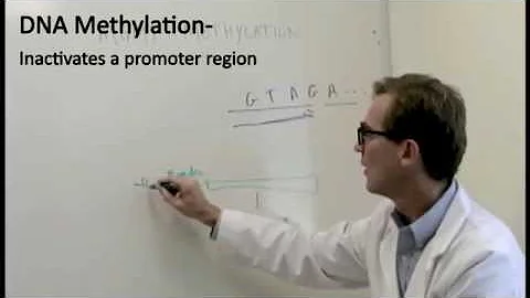 BrainCancer.org's "Brain Tumors 101 Series": MGMT Methylation in Glioblastoma Brain Tumors
