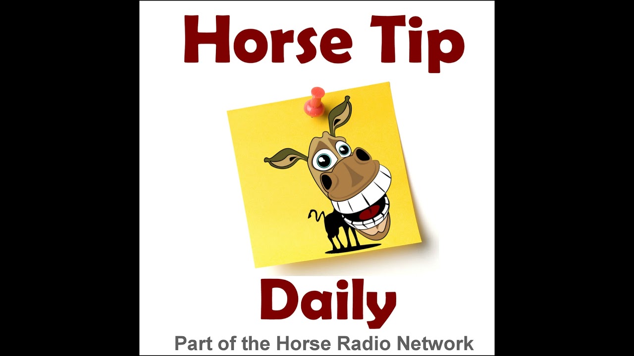 Horse Tip Daily 