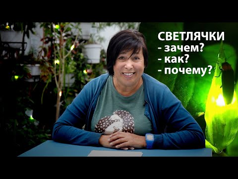 Video: Muzej-delavnica A.S. Opis in fotografija Golubkina - Rusija - Moskva: Moskva
