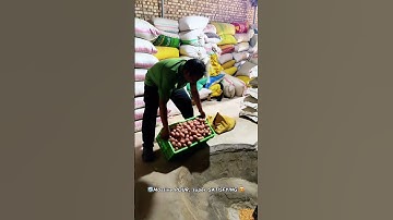 From Crate to Wash — Egg Pour Satisfaction 🔄🥚